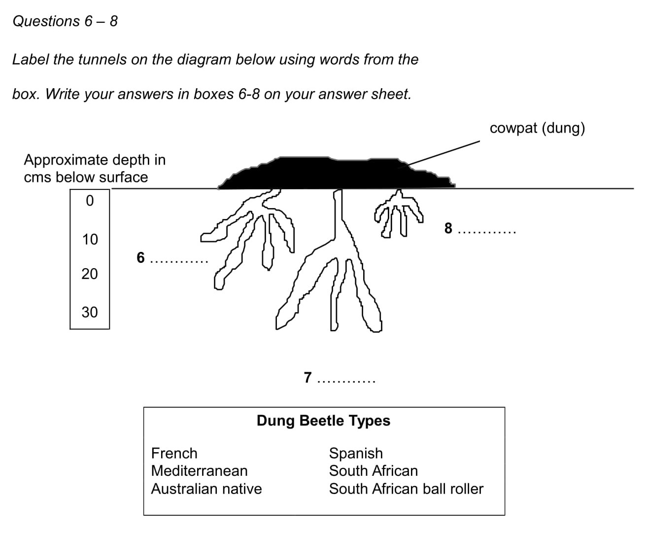 Use the words to label the. Labelling a diagram IELTS. IELTS reading labelling. Diagram IELTS reading. Diagram labelling.